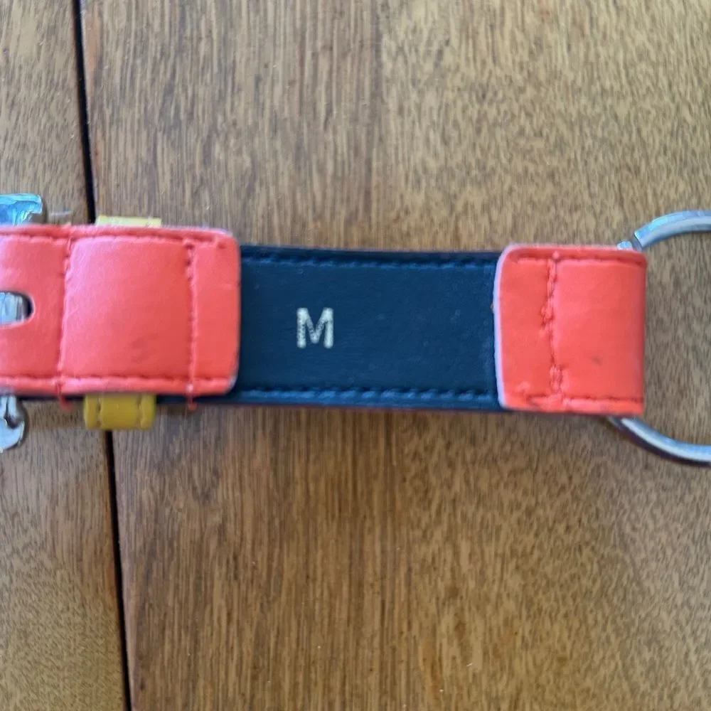 Vintage Express belt